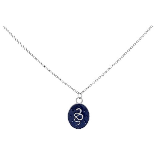 Silberne Kette mit ovalem Anhänger und Schlangenmotiv auf dunkelblauem Hintergrund