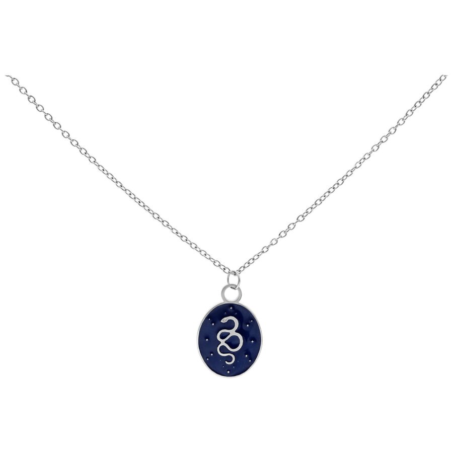 Silberne Kette mit ovalem Anhänger und Schlangenmotiv auf dunkelblauem Hintergrund