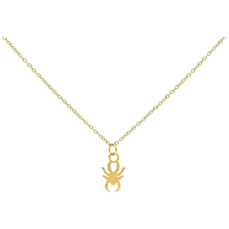 Goldene Kette mit kleinem Spinnenanhänger auf weißem Hintergrund