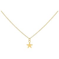 Goldene Kette mit kleinem Seestern-Anhänger, Studiohintergrund