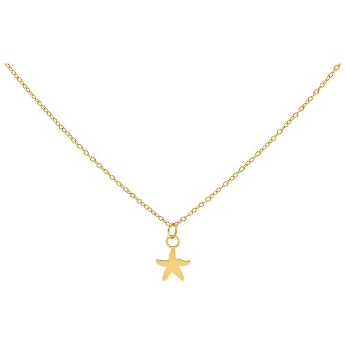 Goldene Kette mit kleinem Seestern-Anhänger, Studiohintergrund