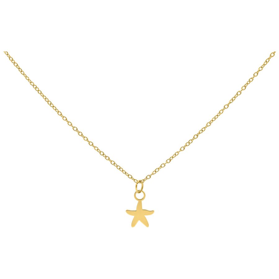 Goldene Kette mit kleinem Seestern-Anhänger, Studiohintergrund