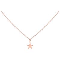 Roségoldene Kette mit einem kleinen Seestern-Anhänger auf weißem Hintergrund