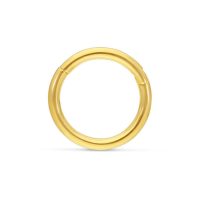 Glänzender 18K Goldring mit Scharnier auf weißem Hintergrund