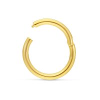 Goldener 18K Klapp-Ring auf weißem Hintergrund, perfekt für Piercings
