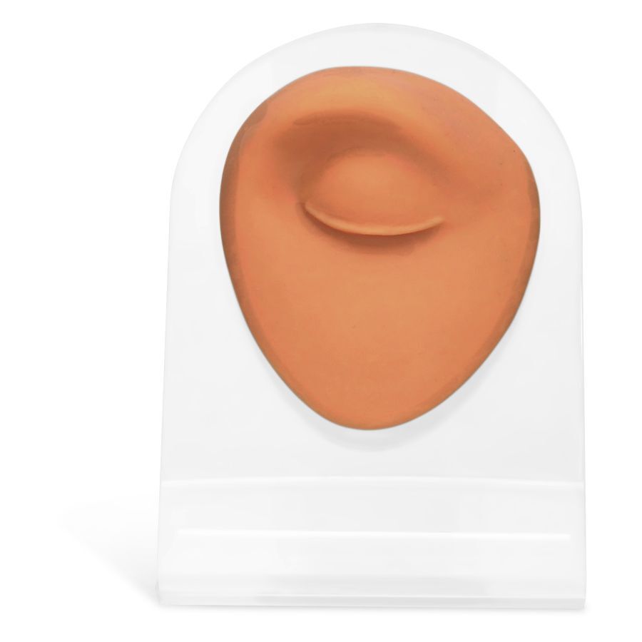 Braunes Body Bit Eye auf transparentem Silikon-Display, frontal