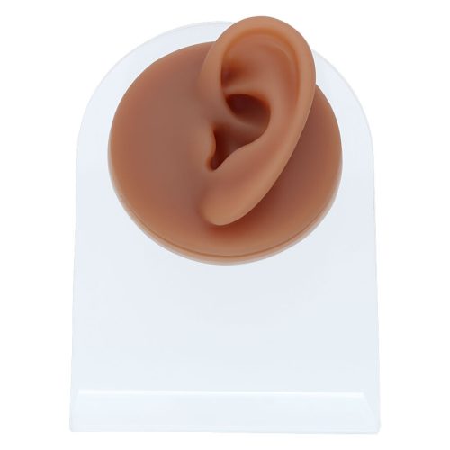 Braunes Silikon-Ohr auf transparentem Displayständer, frontal