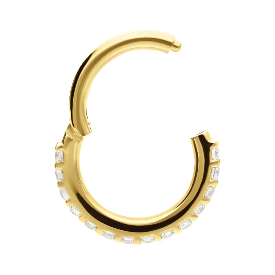 Goldener 14K Piercingring mit Moissanit-Kristallen, Studiohintergrund
