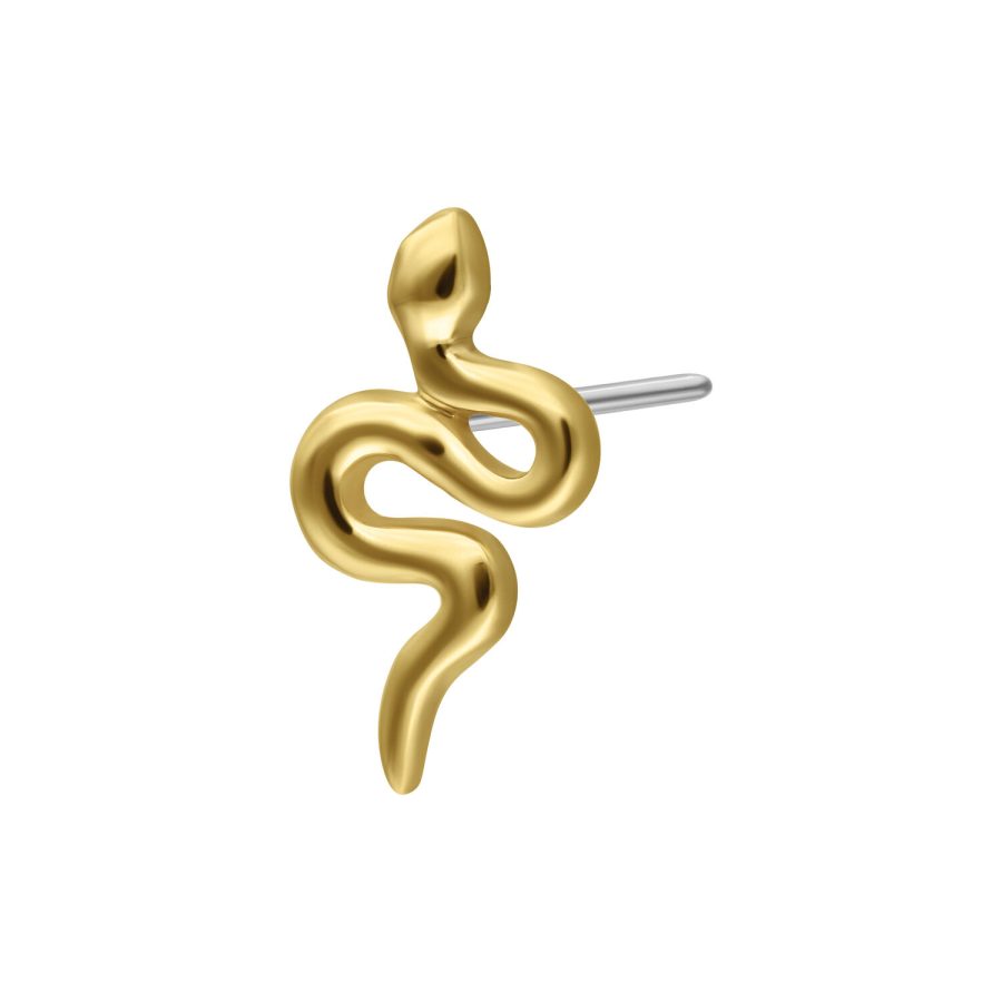 Goldener Schlangenaufsatz aus 14K Gold für Push-Fit Piercings auf weißem Hintergrund