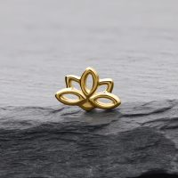 Goldener Lotus Aufsatz auf grauem Stein mit klaren Linien und glänzender Oberfläche