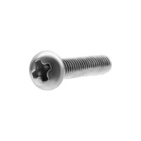Silberne Ersatzschraube für TDR, Stärke 2,5 mm, Länge 20 mm auf weißem Hintergrund