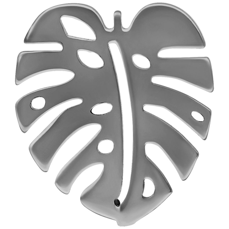 Hochglanzpolierter silberfarbener Monstera Ohrstecker aus Titan auf weißem Hintergrund