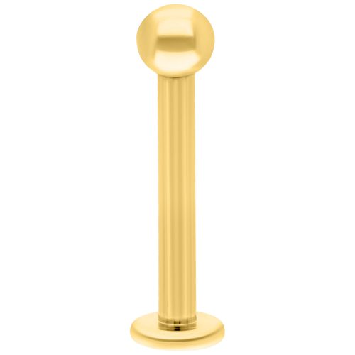 Goldenes Titan Labret mit Innengewinde auf weißem Hintergrund, 8mm Länge