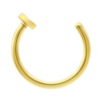 Goldener Nasenring aus Titan mit offenem Design auf weißem Hintergrund