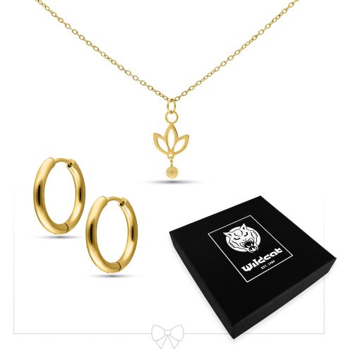 Goldenes Schmuckset mit Kette und Creolen auf weißem Hintergrund neben schwarzer Wildcat-Schachtel