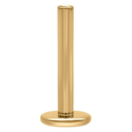 Goldener Labret aus Titan mit Push Fit, 1.0 mm Stärke, 5.0 mm Länge, auf weißem Hintergrund