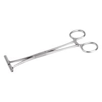 Silberne Septum Zange aus Edelstahl auf weißem Hintergrund