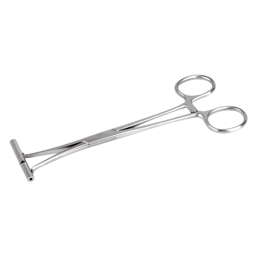 Silberne Septum Zange aus Edelstahl auf weißem Hintergrund