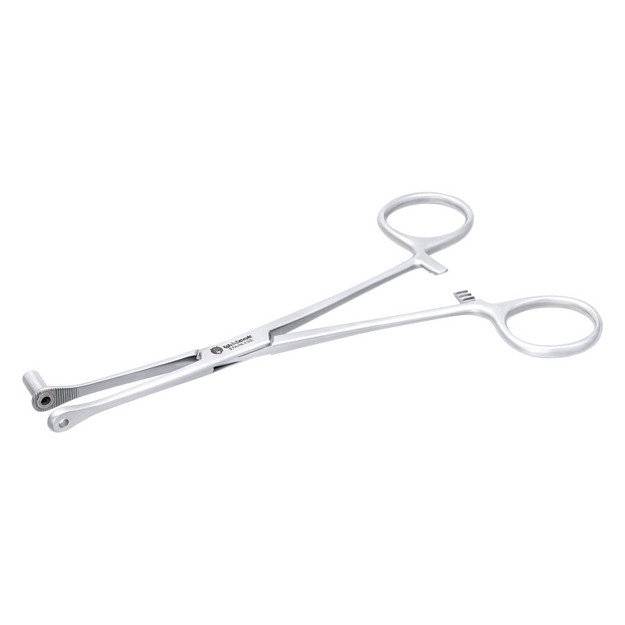 Silbernes Septum Close End Werkzeug auf weißem Hintergrund