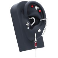 Silberne Piercingkette und Schmuck an schwarzem Ohrständer, rote Steine