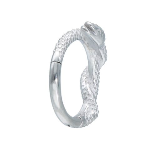 Silberner Piercingring mit Schlangendesign auf weißem Hintergrund