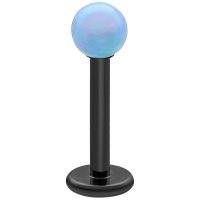 Schwarzes Titan-Labret mit hellblauer Opalkugel auf weißem Hintergrund