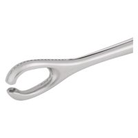 Silberne Open End Sponge Pinzette mit 6mm Innendurchmesser auf weißem Hintergrund