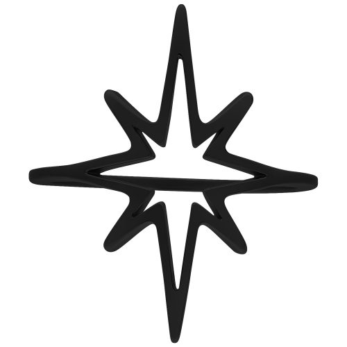 Schwarzer Polar Star Ring aus Chirurgenstahl, Größe 17 mm, auf weißem Hintergrund