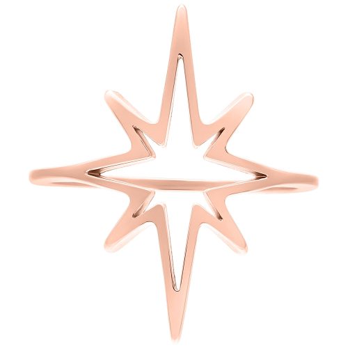 Roségoldener Polar Star Ring auf weißem Hintergrund, Ringgröße 17 mm