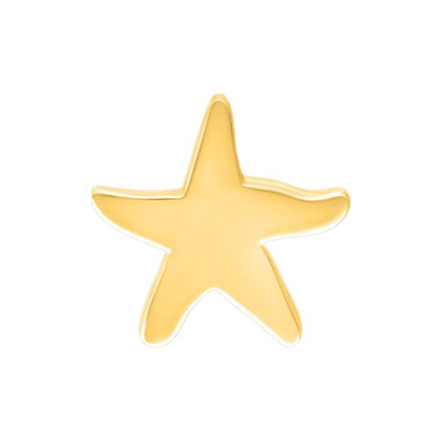 Goldener Sternen-Aufsatz aus Silber auf weißem Hintergrund
