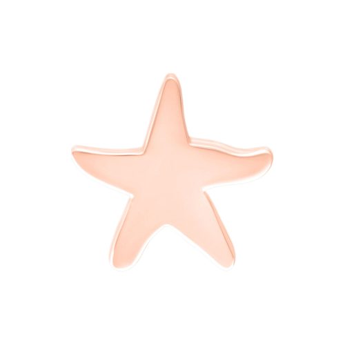 Roségoldener Seestern Aufsatz für Piercings auf weißem Hintergrund