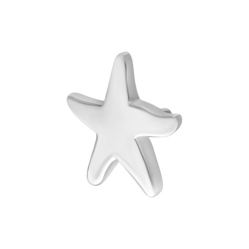 Silberner Starfish Aufsatz aus Metall auf weißem Hintergrund