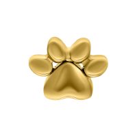 Goldener Pfotenaufsatz aus Titan auf weißem Hintergrund