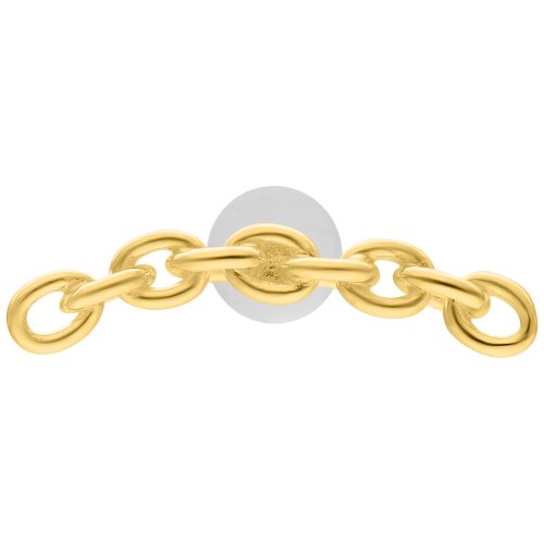 Goldenes Anchorchain Labret mit 5,0 mm Plattengröße auf weißem Hintergrund