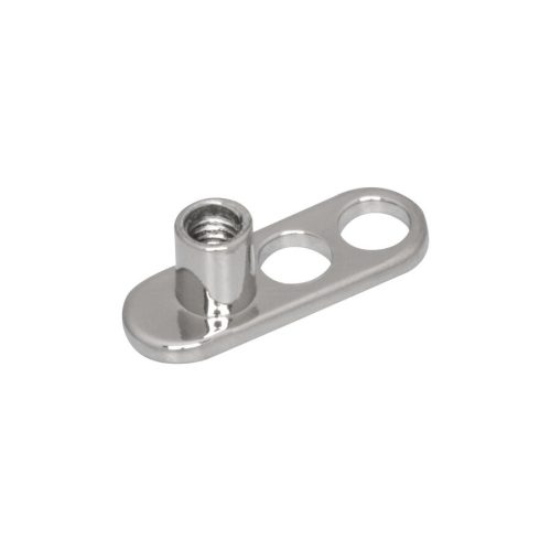 Silberner Titan Dermal Anchor mit 2 Löchern auf weißem Hintergrund