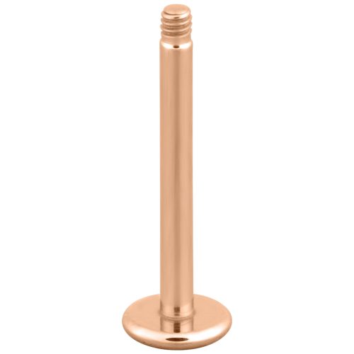 Roségoldenes Labret aus Titan mit Außengewinde auf weißem Hintergrund