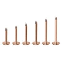 Sechs rosegoldene Micro Labrets aus Titan auf weißem Hintergrund