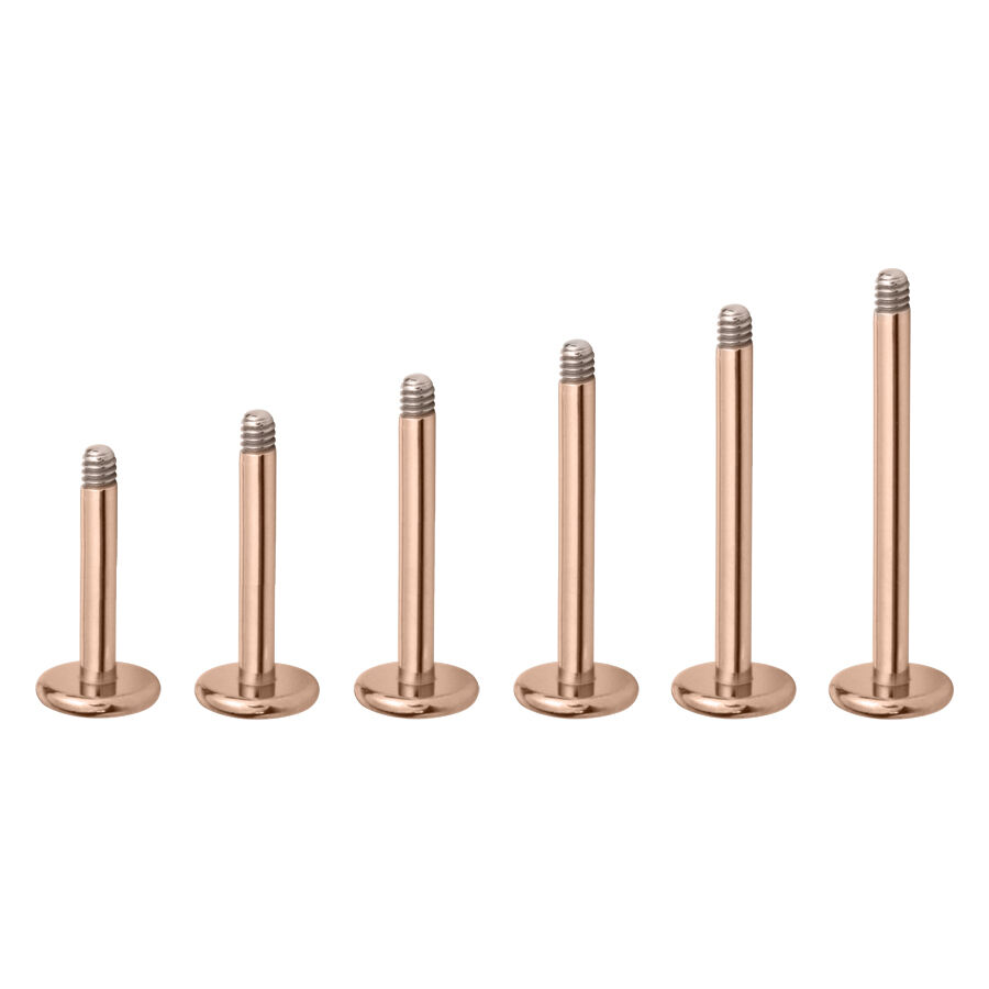 Sechs rosegoldene Micro Labrets aus Titan auf weißem Hintergrund
