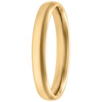 Goldener Ring aus Chirurgenstahl 316L, Größe 17,0 mm, auf weißem Hintergrund