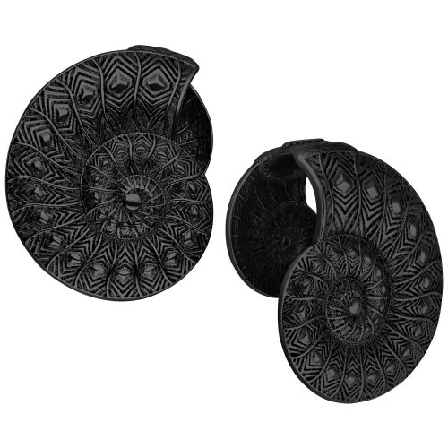 Schwarze, spiralförmige Ohrgewichte aus Chirurgenstahl, 12 mm Innendurchmesser, auf weißem Hintergrund