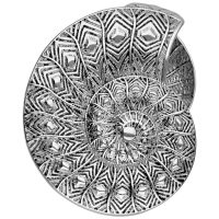 Silberne Fossil Ear Cuffs mit filigranem Muster auf weißem Hintergrund