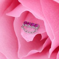 Silberner Aufsatz mit vier roten Kristallen und Kette auf rosa Blütenblättern