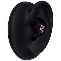 Silberner Piercing Aufsatz mit Amethyst in schwarzem Ohrdisplay