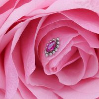 Silberner ovaler Aufsatz mit rotem Kristall auf rosa Blütenblatt