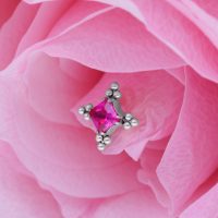 Silberner Ornamentaufsatz mit rotem Kristall auf rosa Blütenblättern
