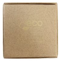 Quadratische Kartonbox mit Wildcat Logo auf beigem Hintergrund