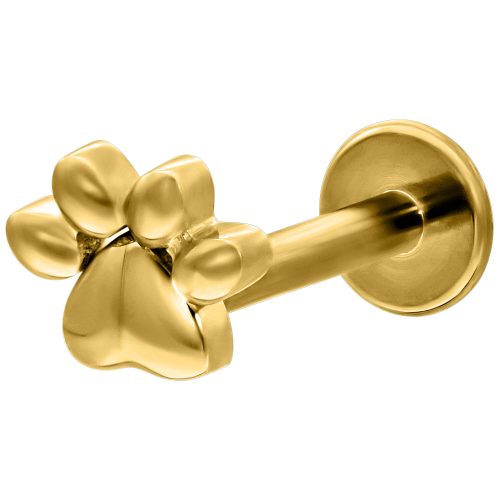 Goldenes Labret mit Pfotenmotiv auf weißem Hintergrund, 6mm Länge