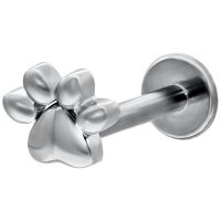 Labret aus Weißgold mit Pfotenmotiv und Push-Fit Verschluss auf weißem Hintergrund