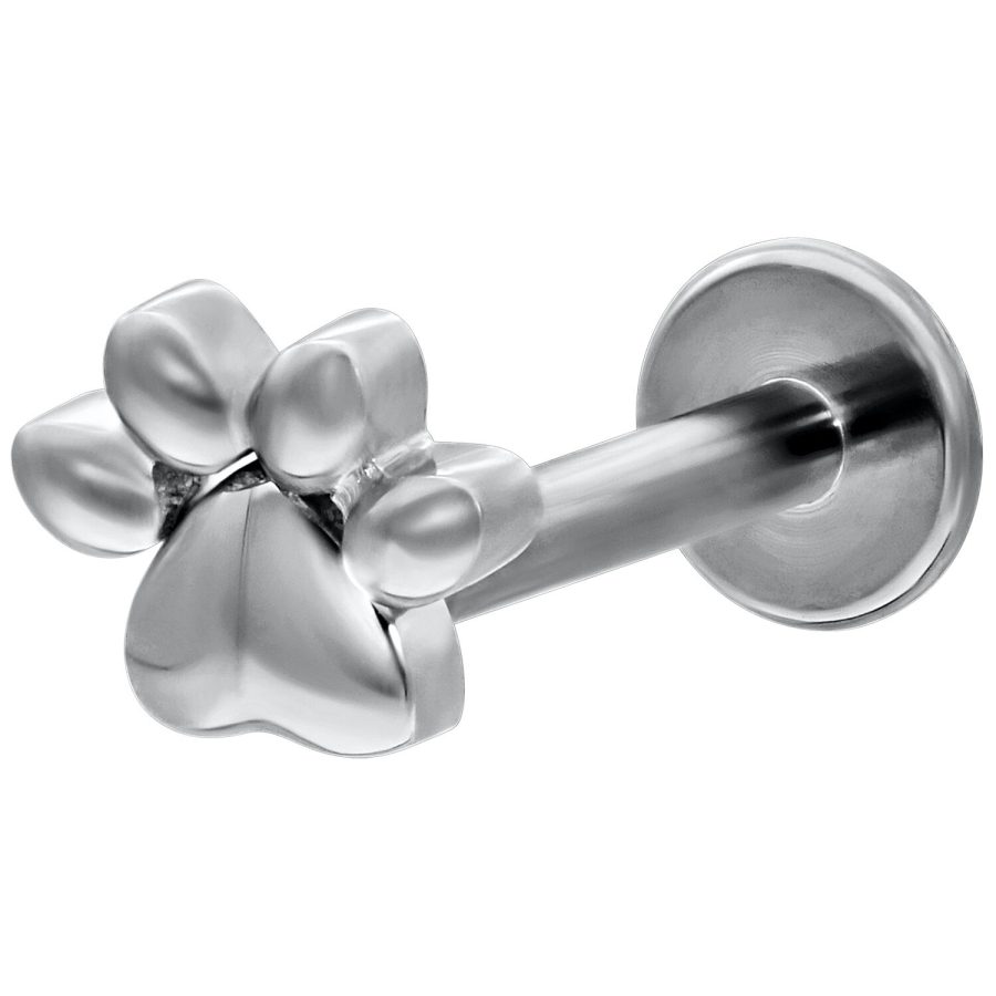 Labret aus Weißgold mit Pfotenmotiv und Push-Fit Verschluss auf weißem Hintergrund