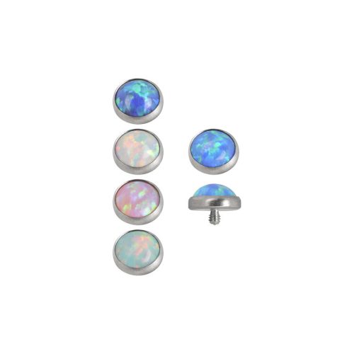 Sechs runde Opal Dermal Anchor Aufsätze in verschiedenen Farben auf weißem Hintergrund